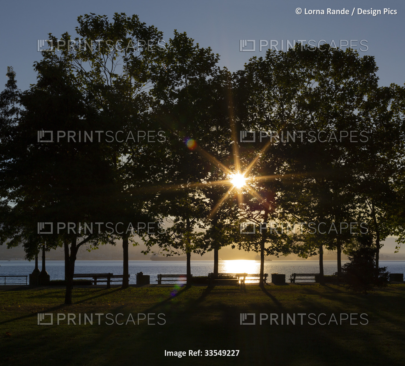 Sunburst through the trees in a waterfront park at sunset; Vancouver, British ...