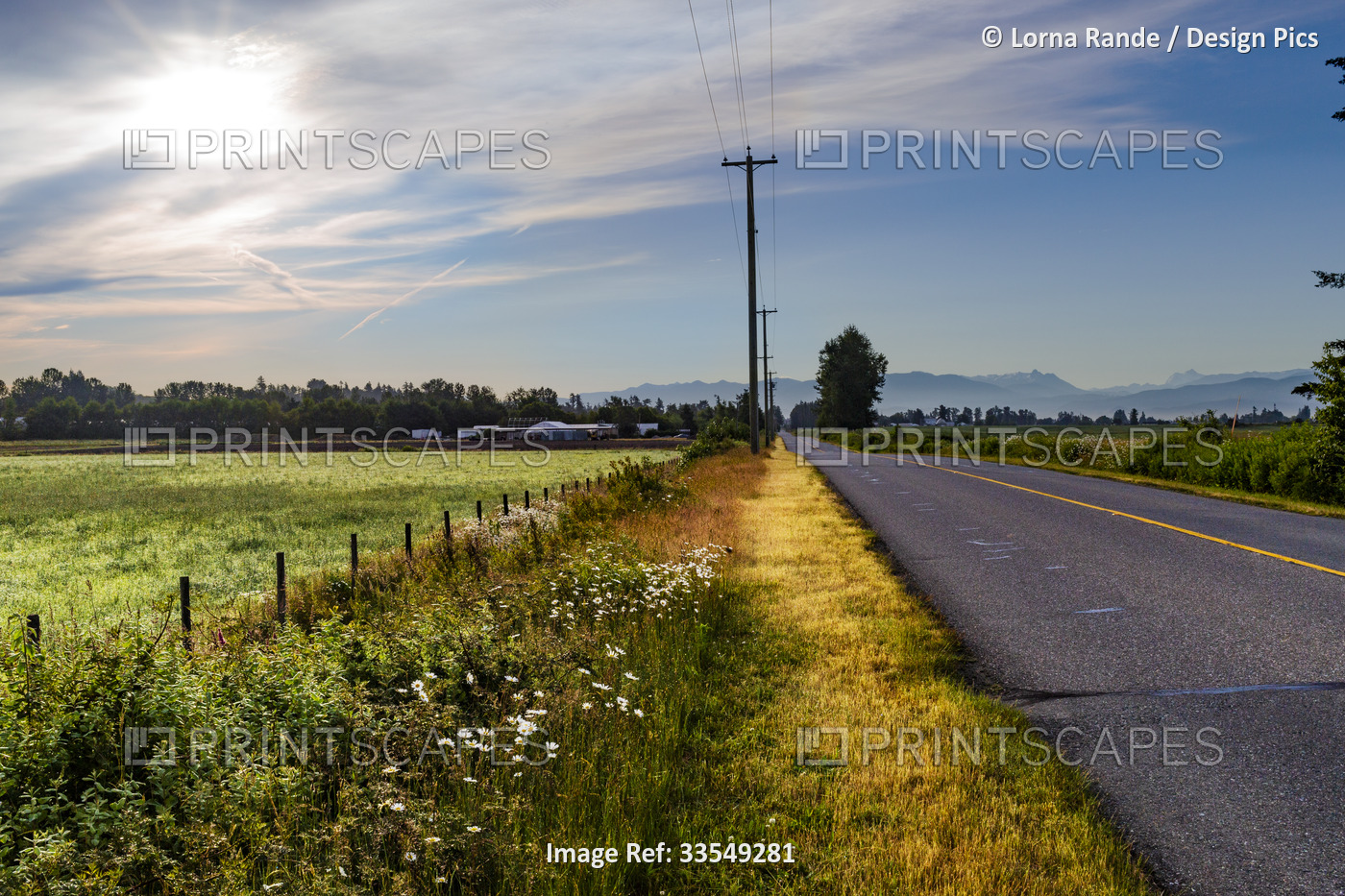 Road through the countryside in Surrey, BC on the outskirts of Metro Vancouver; ...