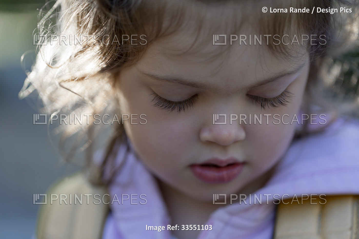 Close-up portrait of a preschooler girl with long eyelashes, looking down; ...