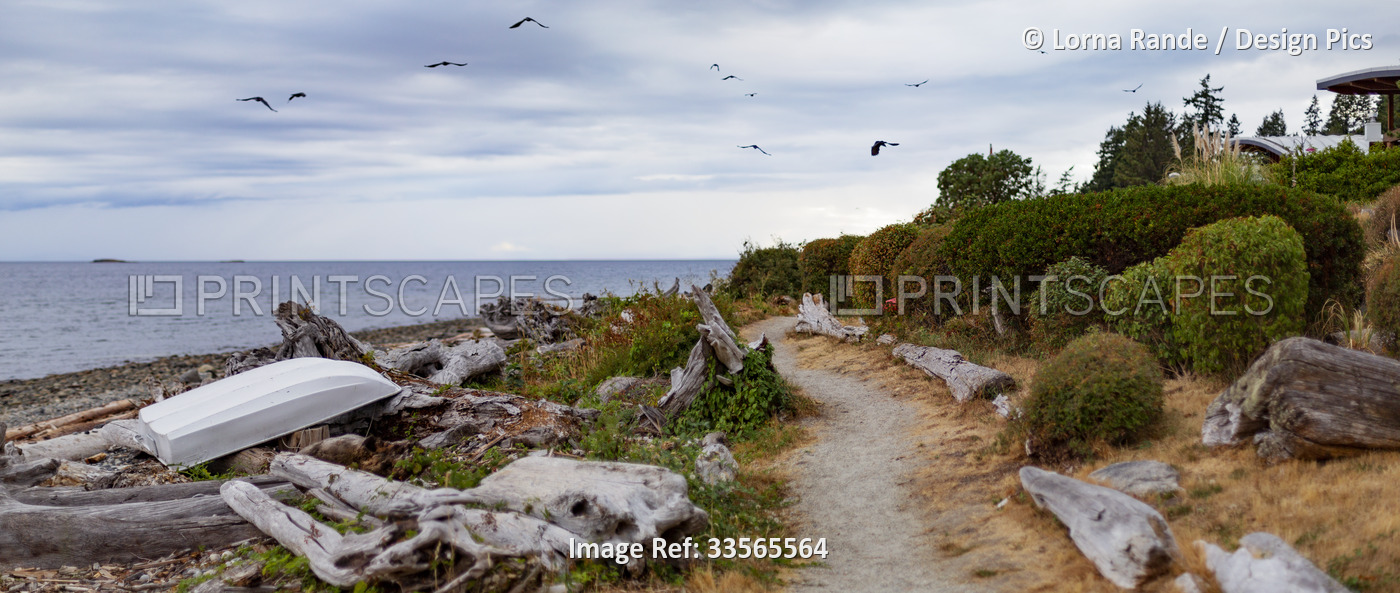 Path along the beach with a rowboat pulled up on shore and seagulls flying ...