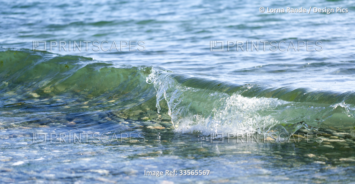 Close-up detail of a small wave splashing in the surf at the shore with clear ...