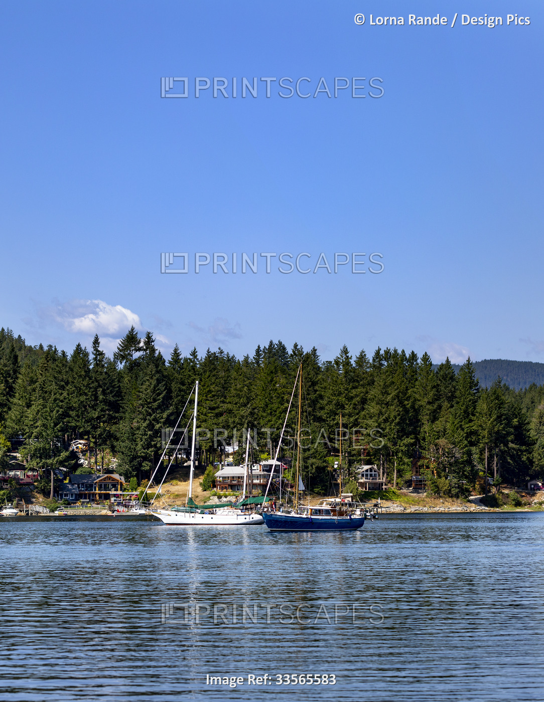 Sailboats off Madeira Park in Pender Harbour along the Sunshine Coast of BC, ...