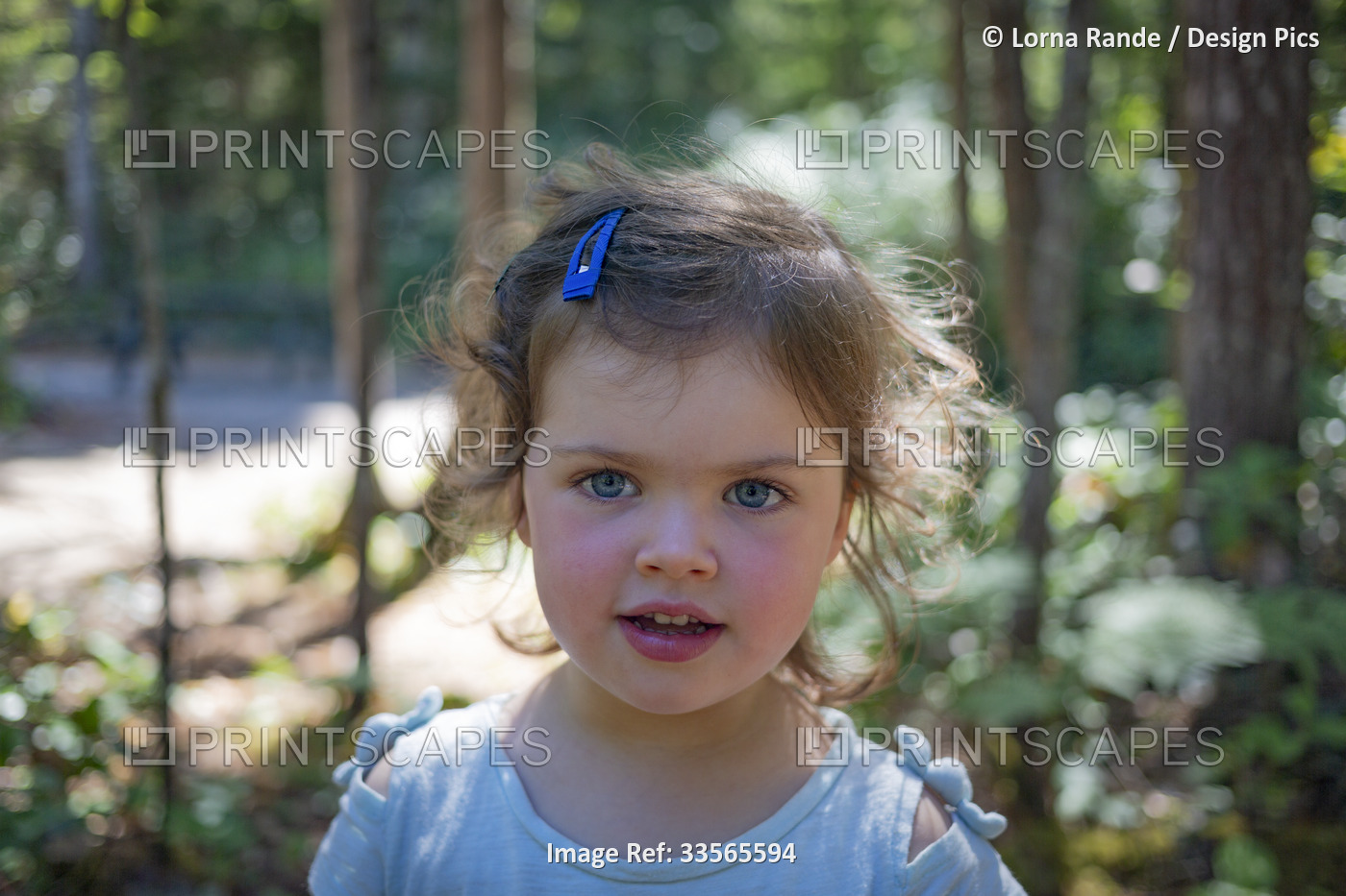 Close-up outdoor portrait of a preschooler girl with blue eyes, blond curls and ...