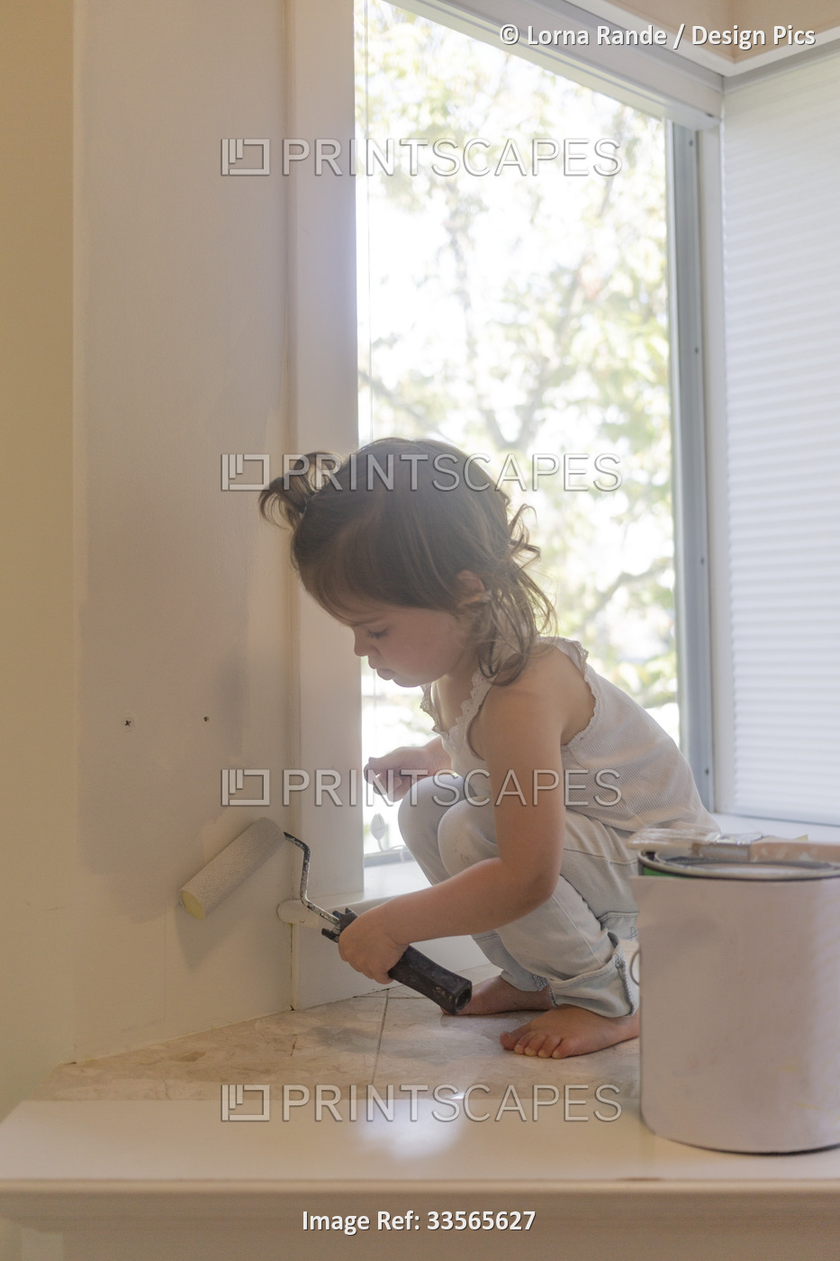 Preschooler girl crouches on a ledge to paint a wall with a roller at home; ...