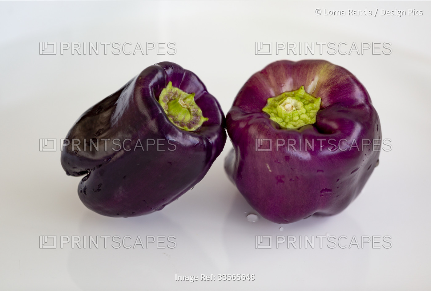 Purple bell peppers on a white background; Studio