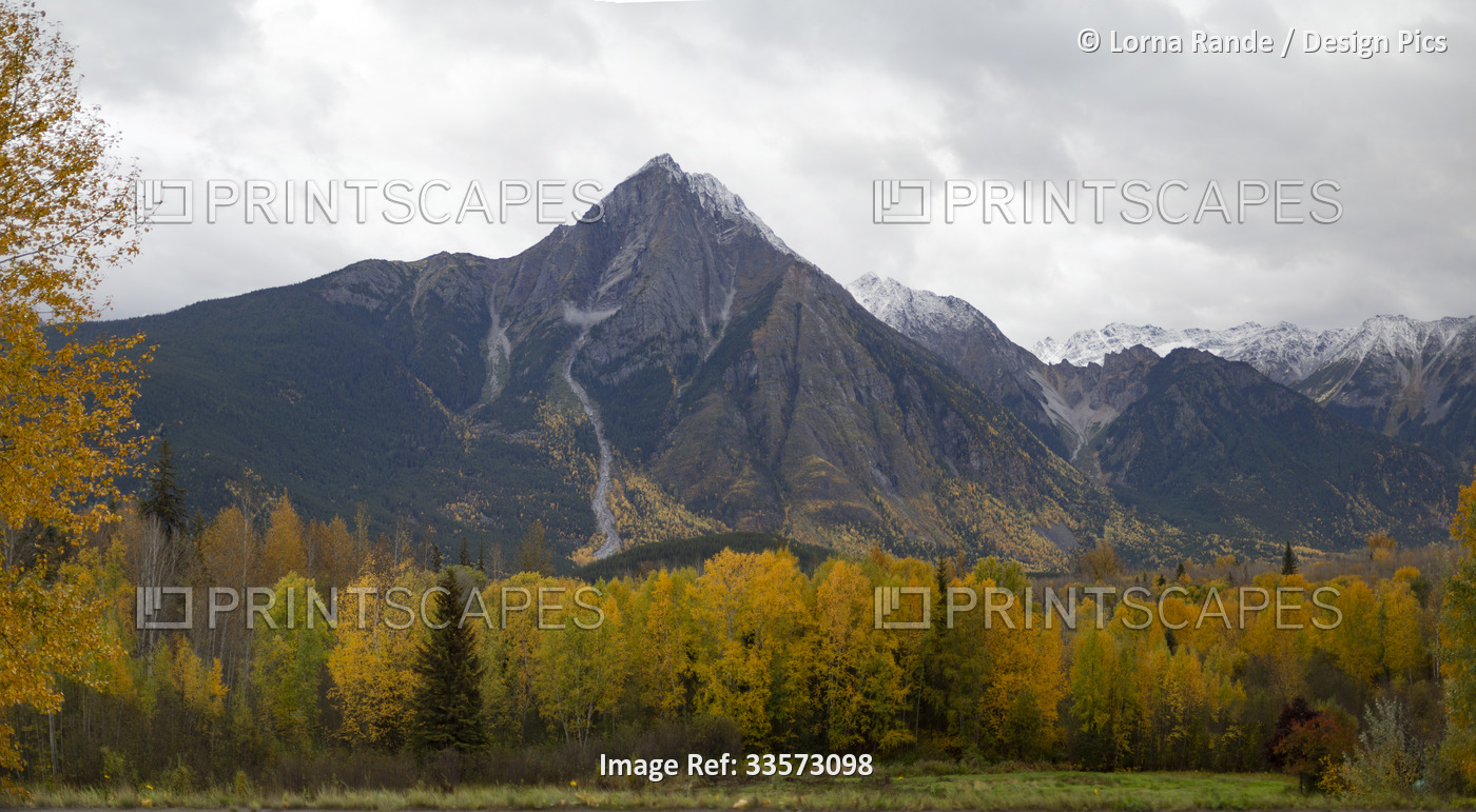 Autumn foliage and rugged mountains along Highway 16 driving West through ...