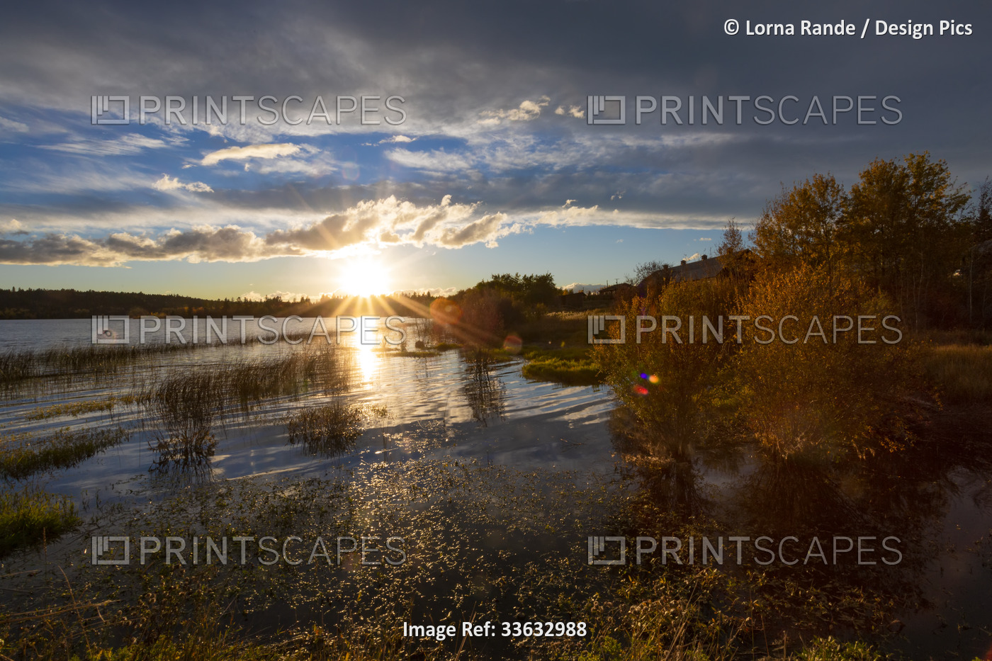 Sunburst of the setting sun over a lake in autumn; 108 Mile House, British ...