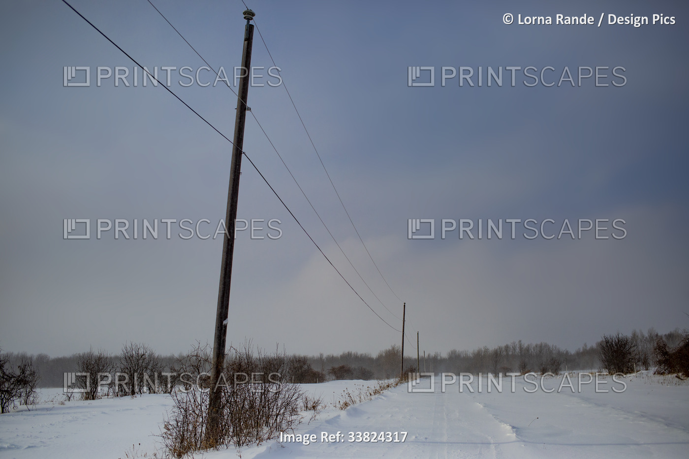 Wires and poles for electrical power in a snowy countryside; Ottawa Valley, ...