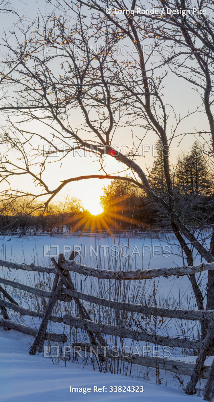 Bright sunburst over a snowy landscape in winter; Ottawa Valley, Ontario, Canada