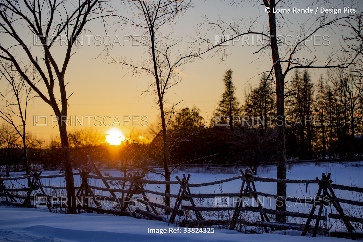 Golden setting sun and a snowy landscape in winter; Ottawa Valley, Ontario, ...