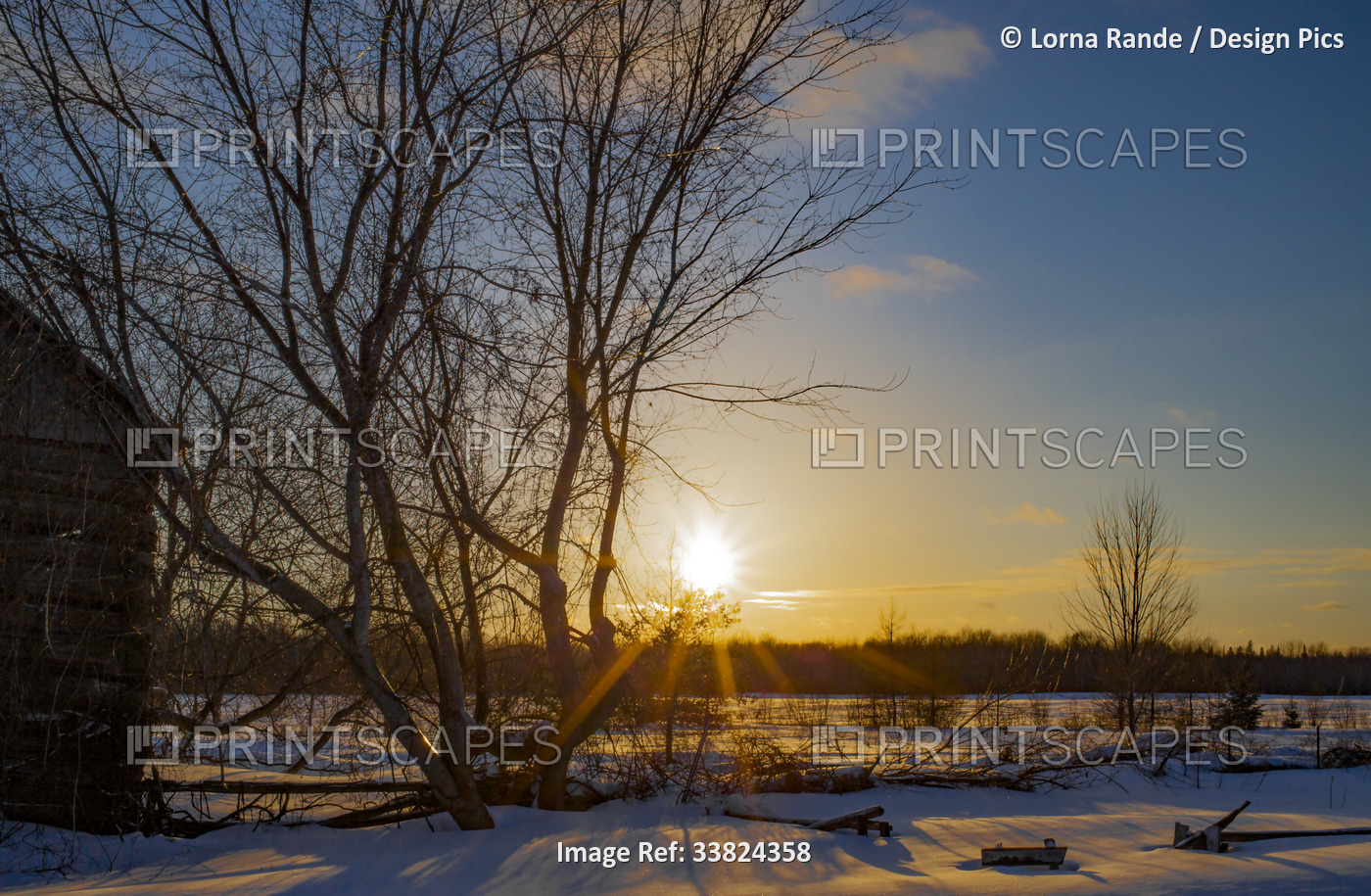 Bright sunburst over a snowy landscape in winter; Ottawa Valley, Ontario, Canada