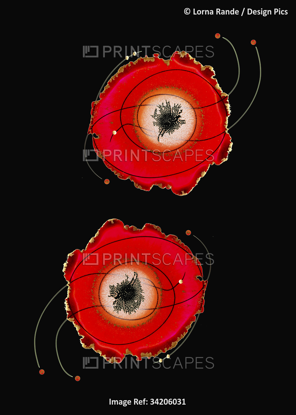 Two ink blot creations in red and black; Artwork