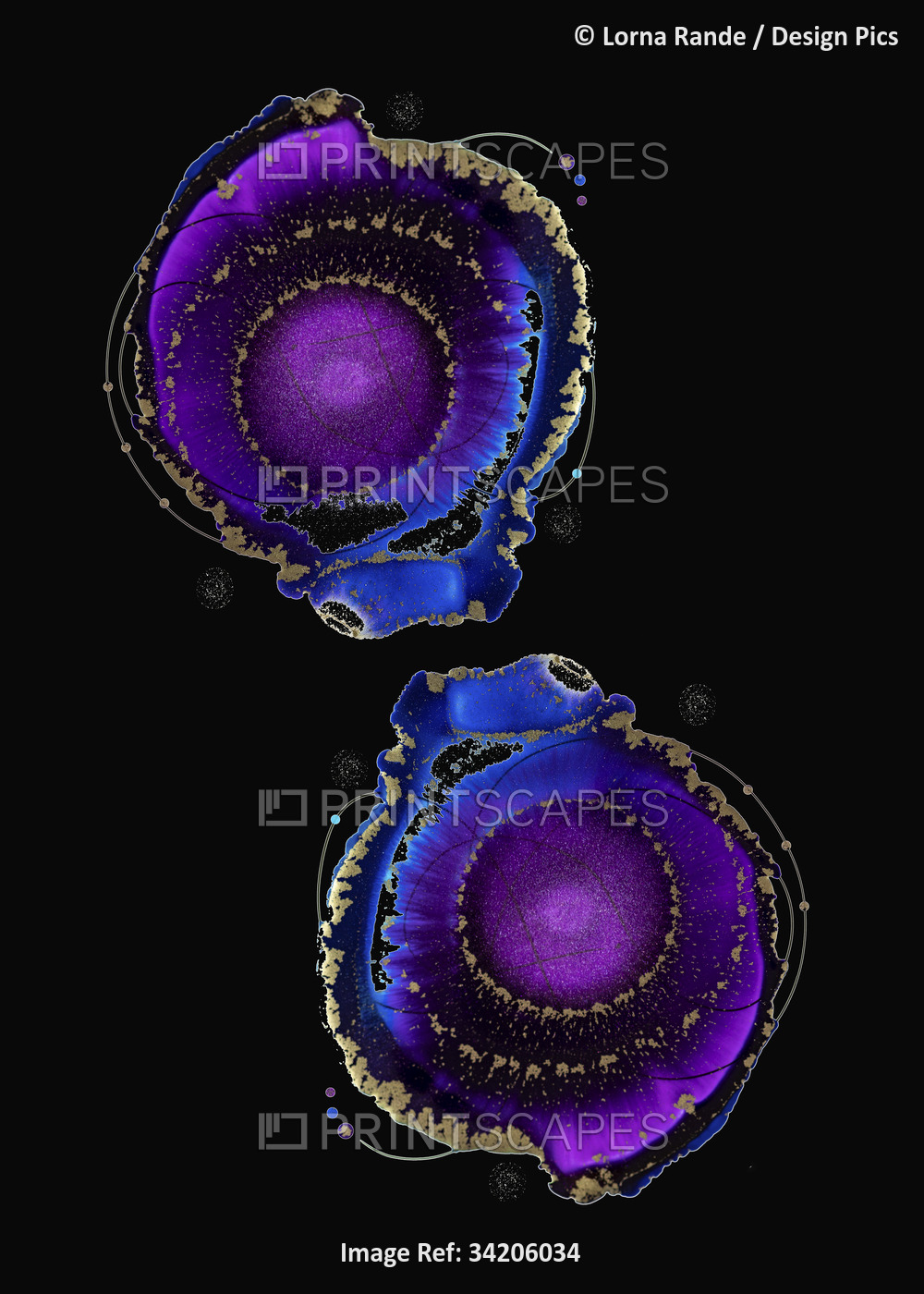 Two ink blot creations in purple, blue and black; Artwork