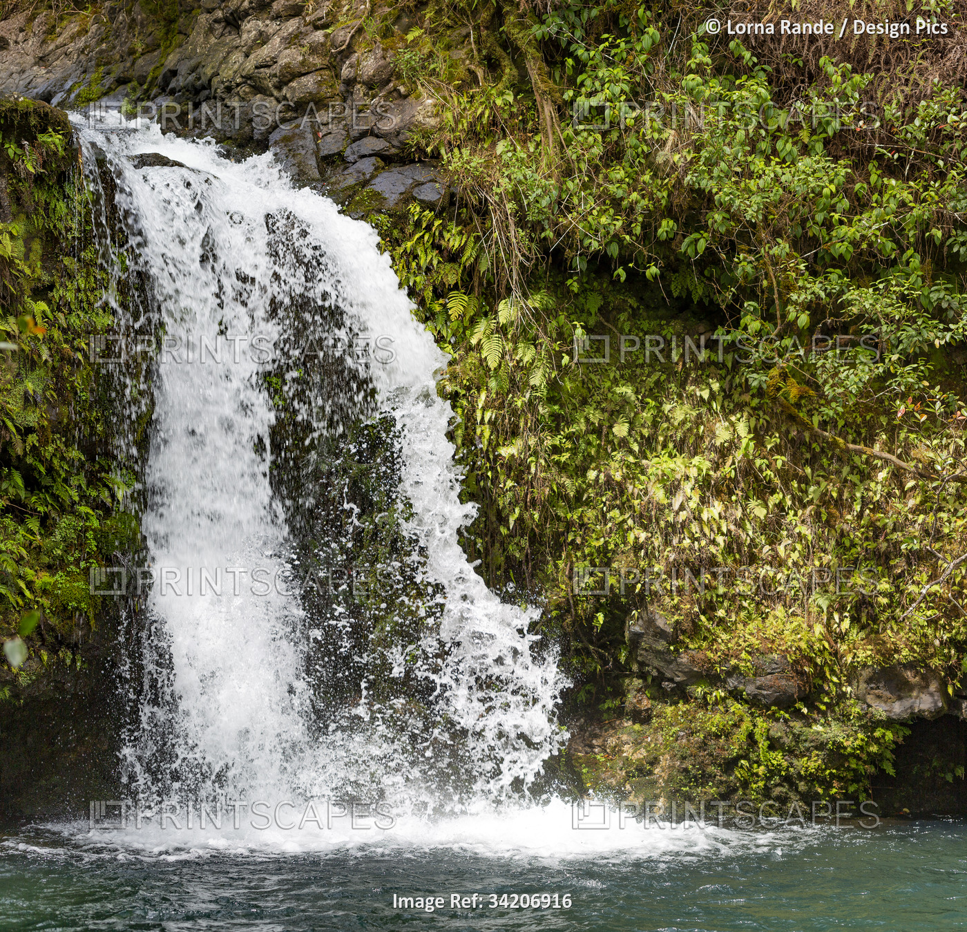 Close-up view of a frothy, cascading waterfall along the Road to Hana, scenic ...