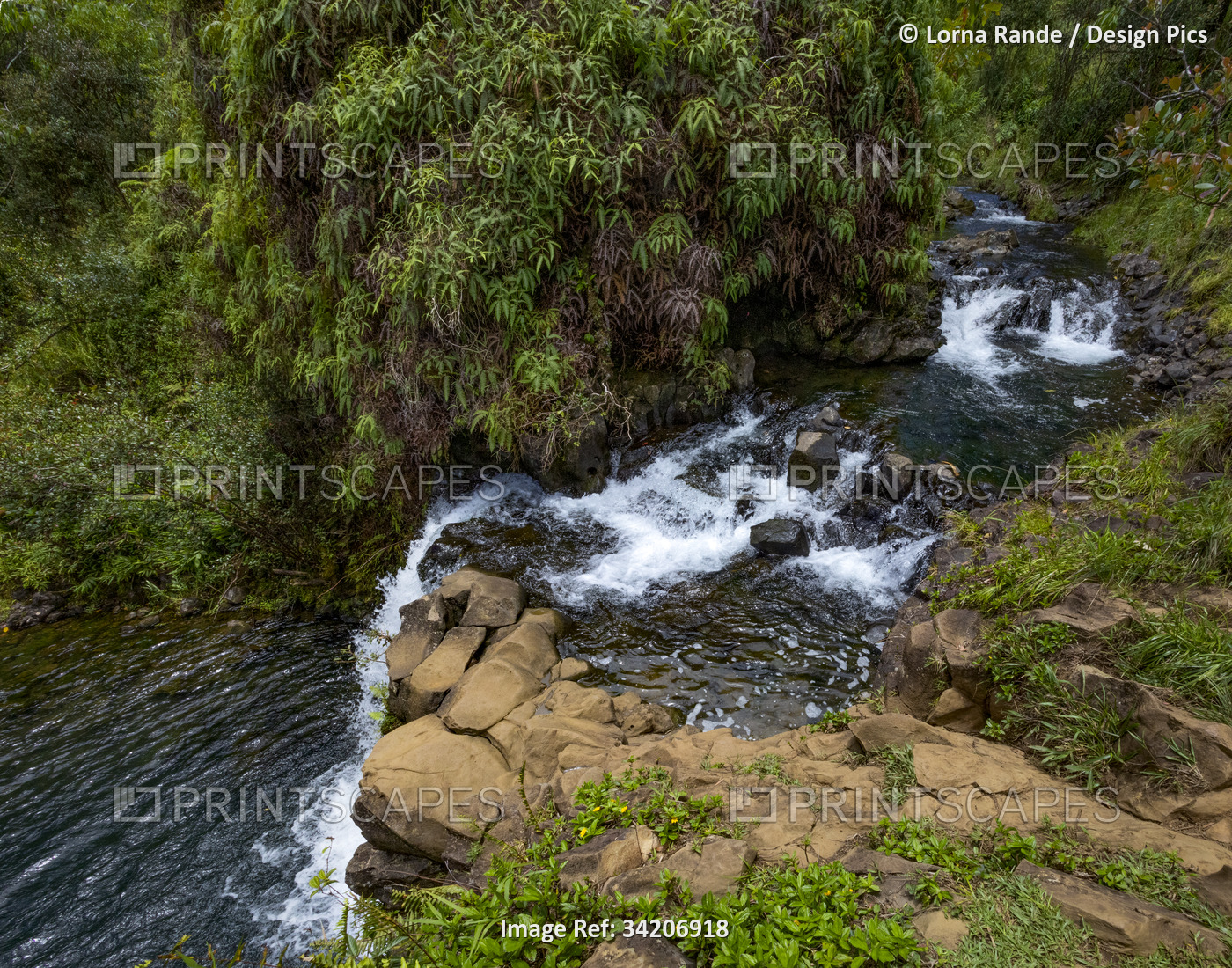 Overlook of a cascading waterfall flowing through the lush vegetation along the ...