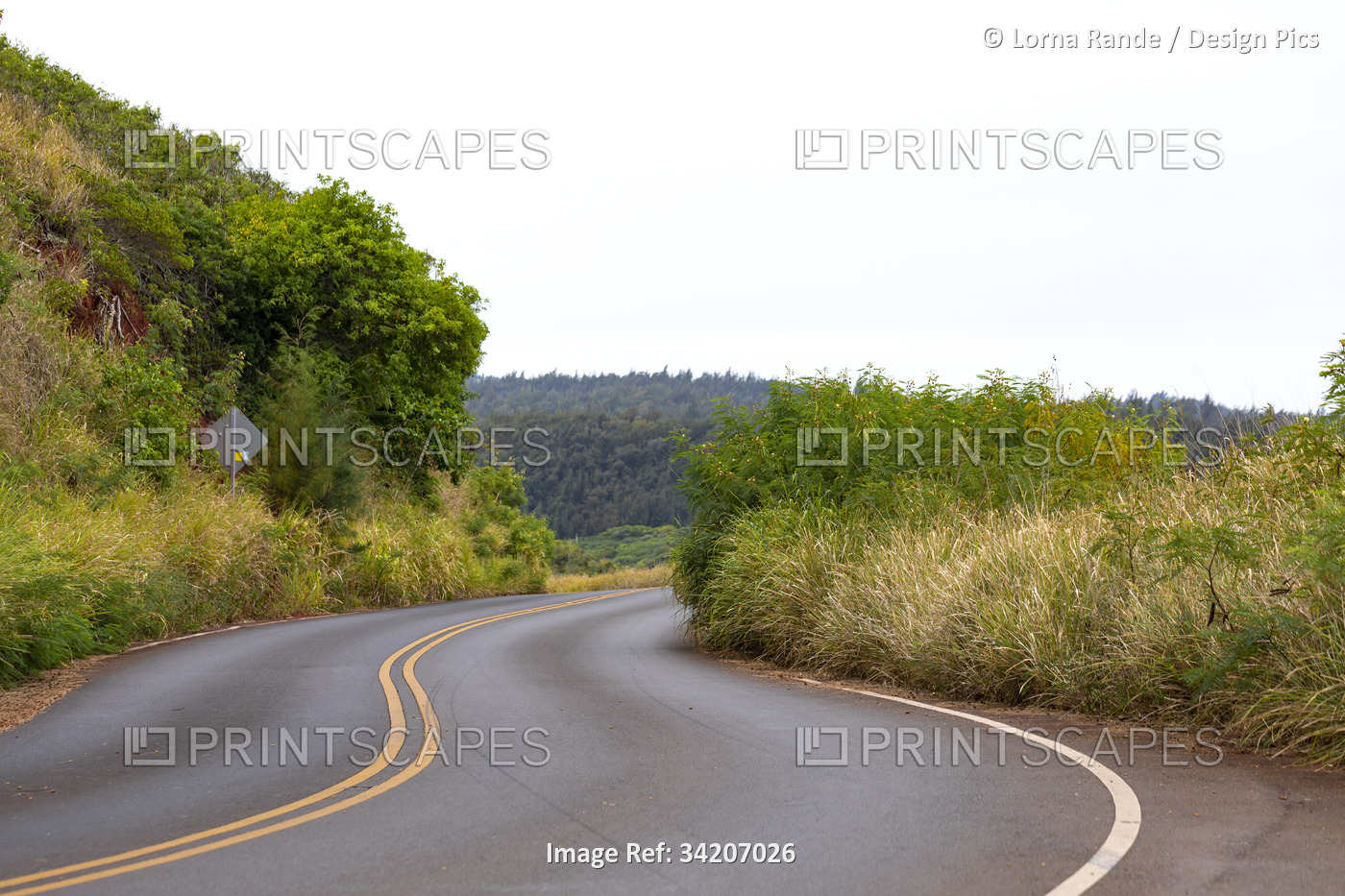 Scenic view of the winding, West Maui Road through the green hills on an ...