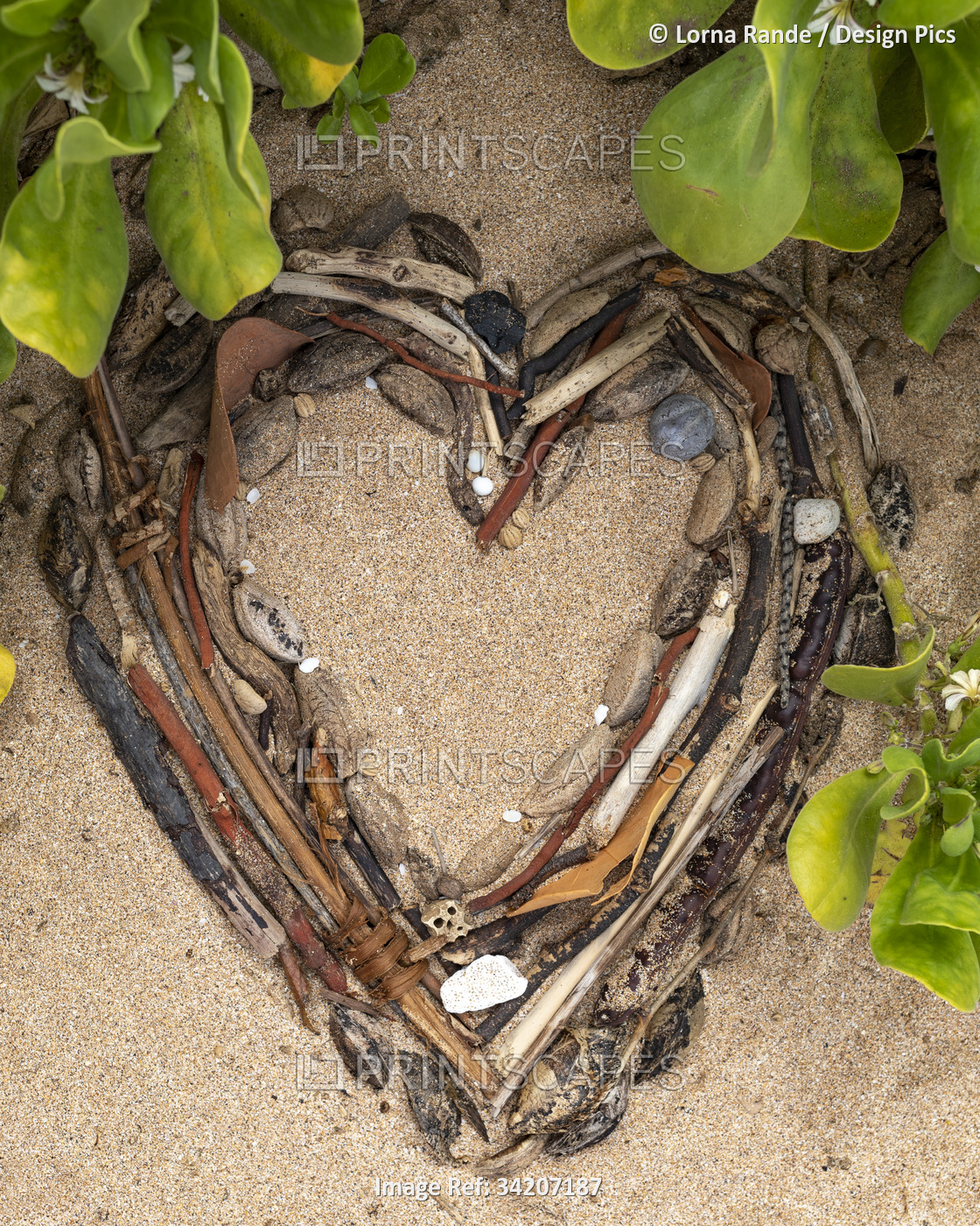 Close-up of dried seed pods, twigs and stones shaped into a heart displayed on ...