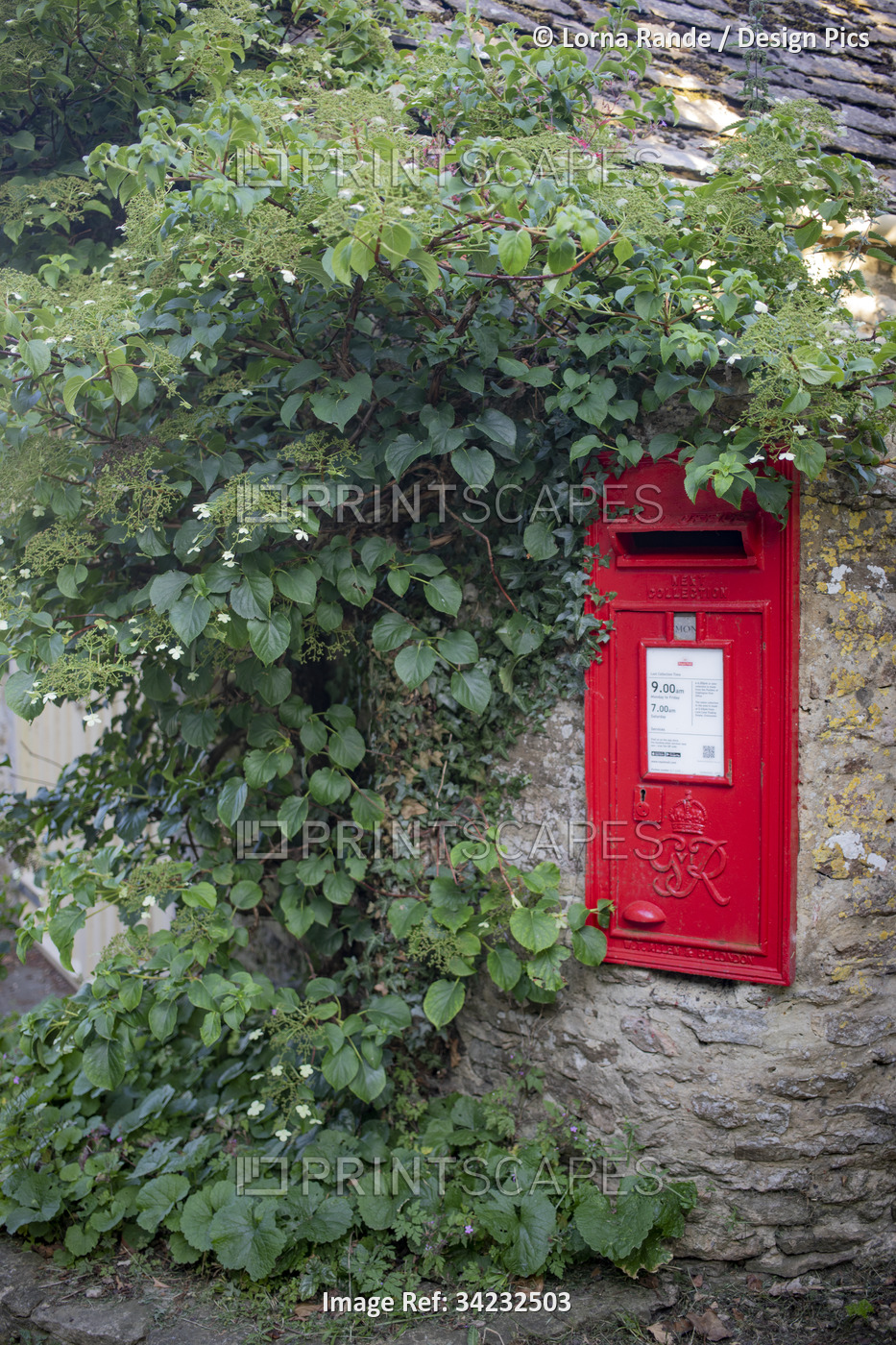 Red post box with King George VI cypher surrounded by foliage in the United ...