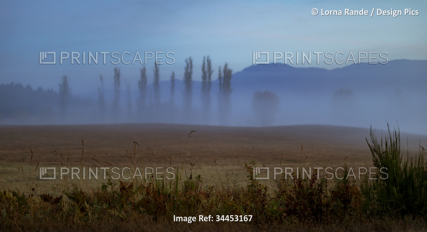 Morning fog settled over landscape; Port Alberni, British Columbia, Canada