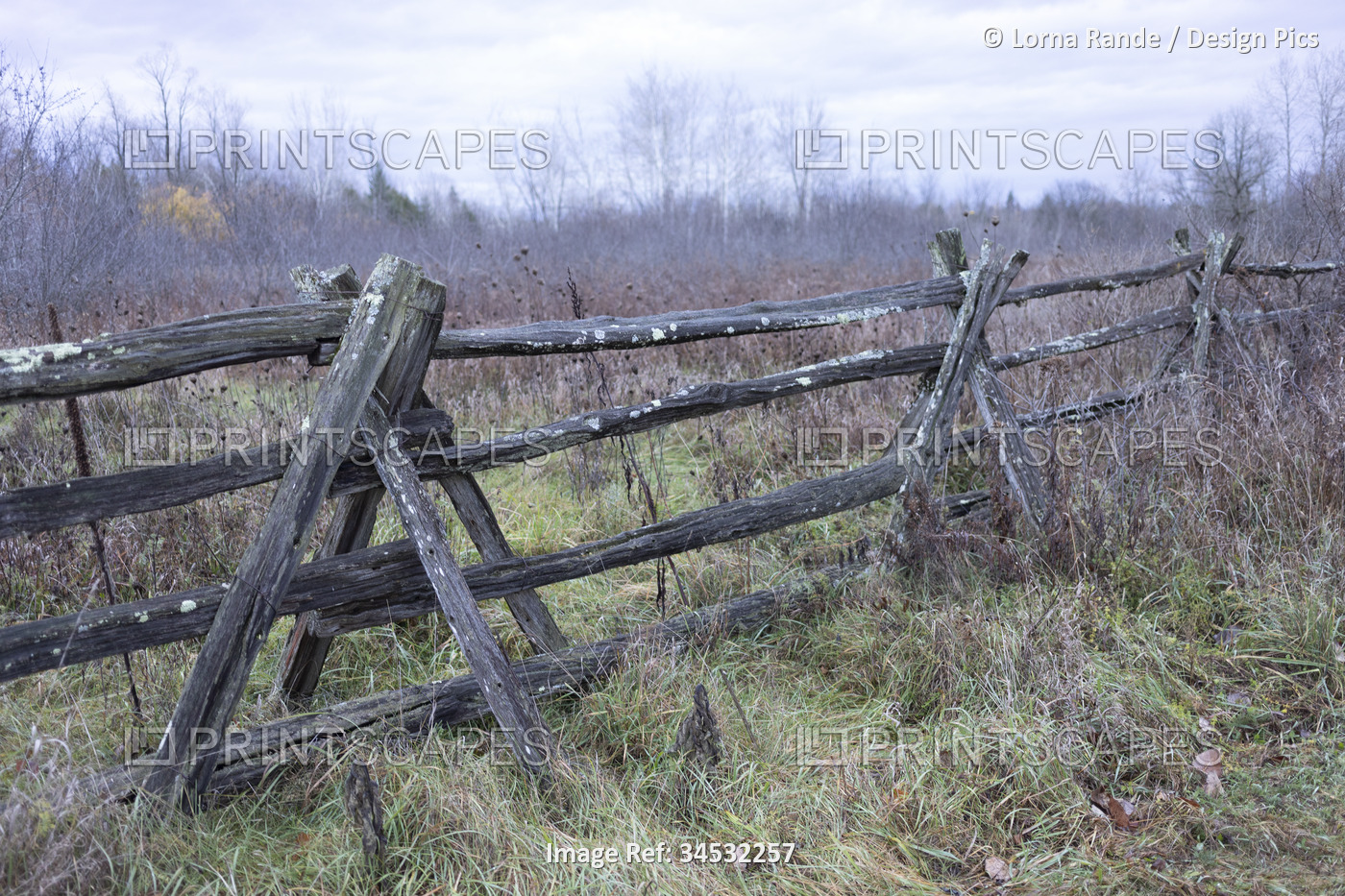 Weathered fence in the countryside with leafless trees in the background; ...