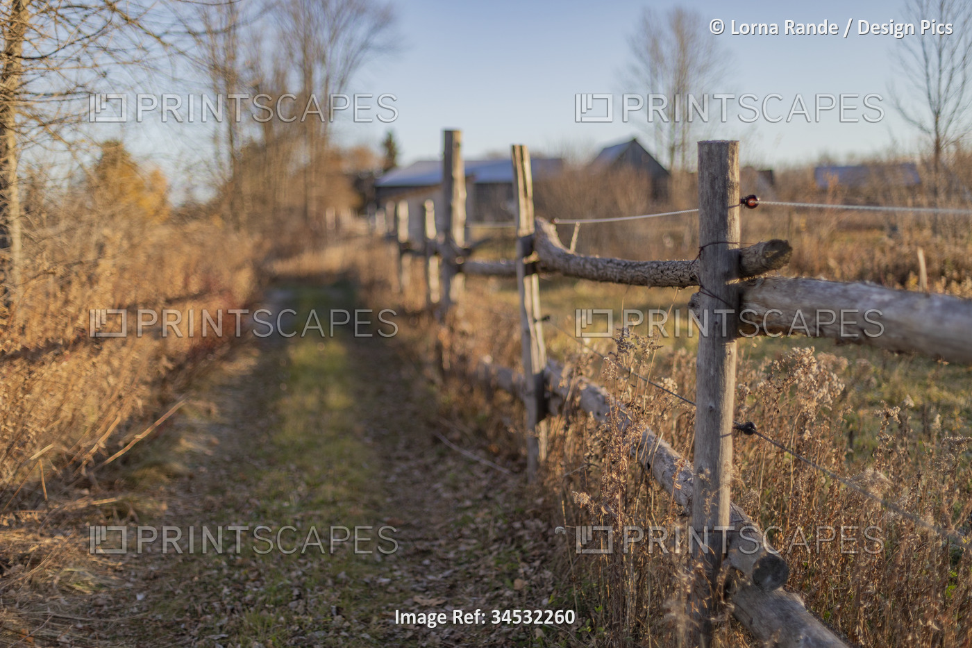 Hiking trail in the countryside along a wooden fence; Ottawa Valley, Ontario, ...