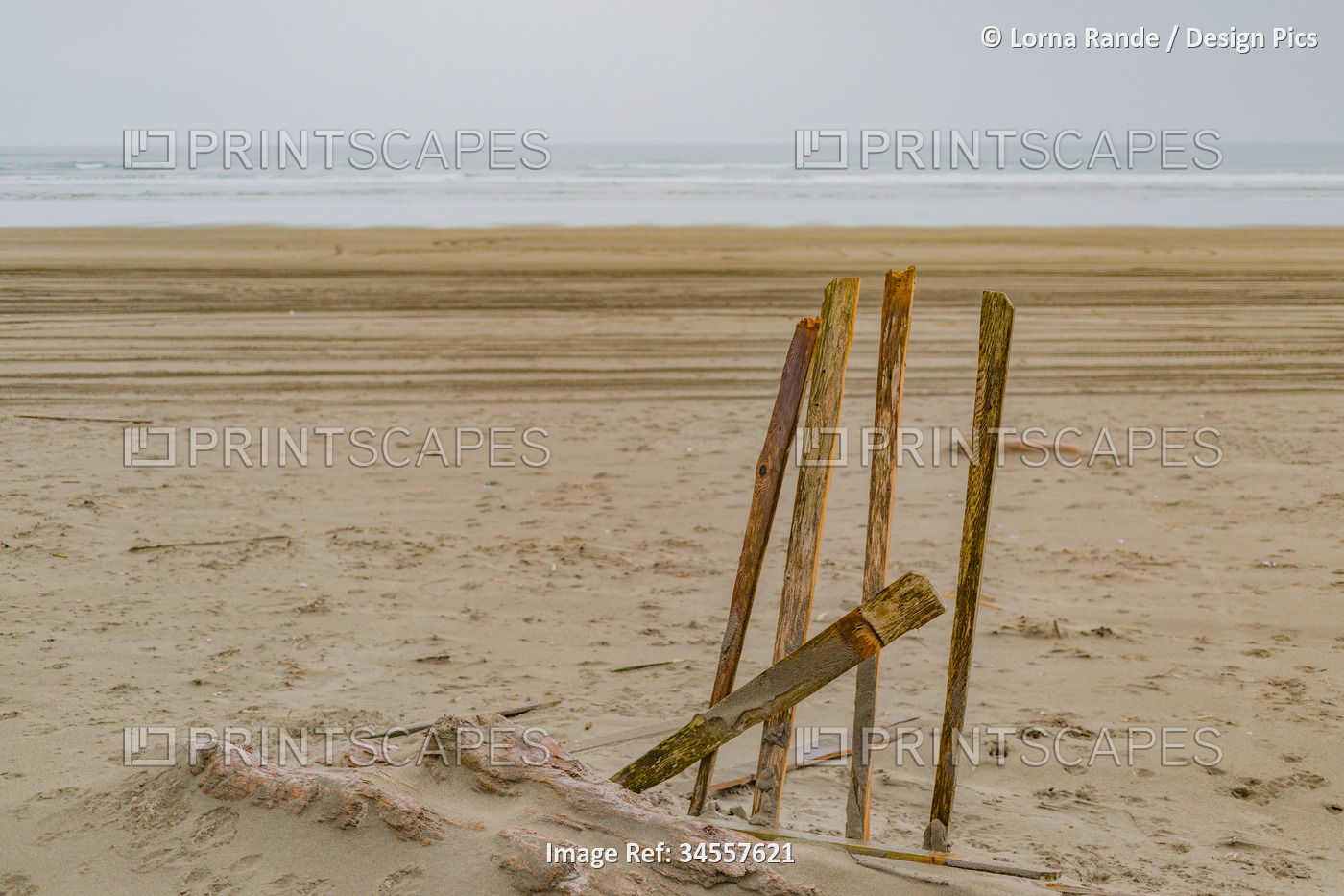 Sandy shore with wooden posts and a grey sky at Long Beach; Long Beach, ...