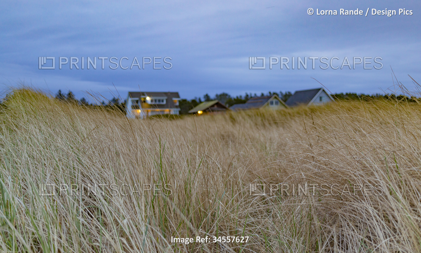 View through the beach grass of houses lit-up against a grey, cloudy sky; Long ...