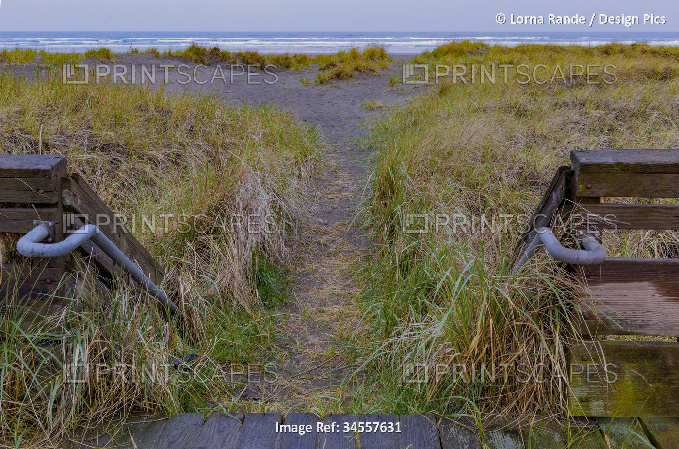 Steps and railing to pathway through the beach grass and sandy shore with view ...