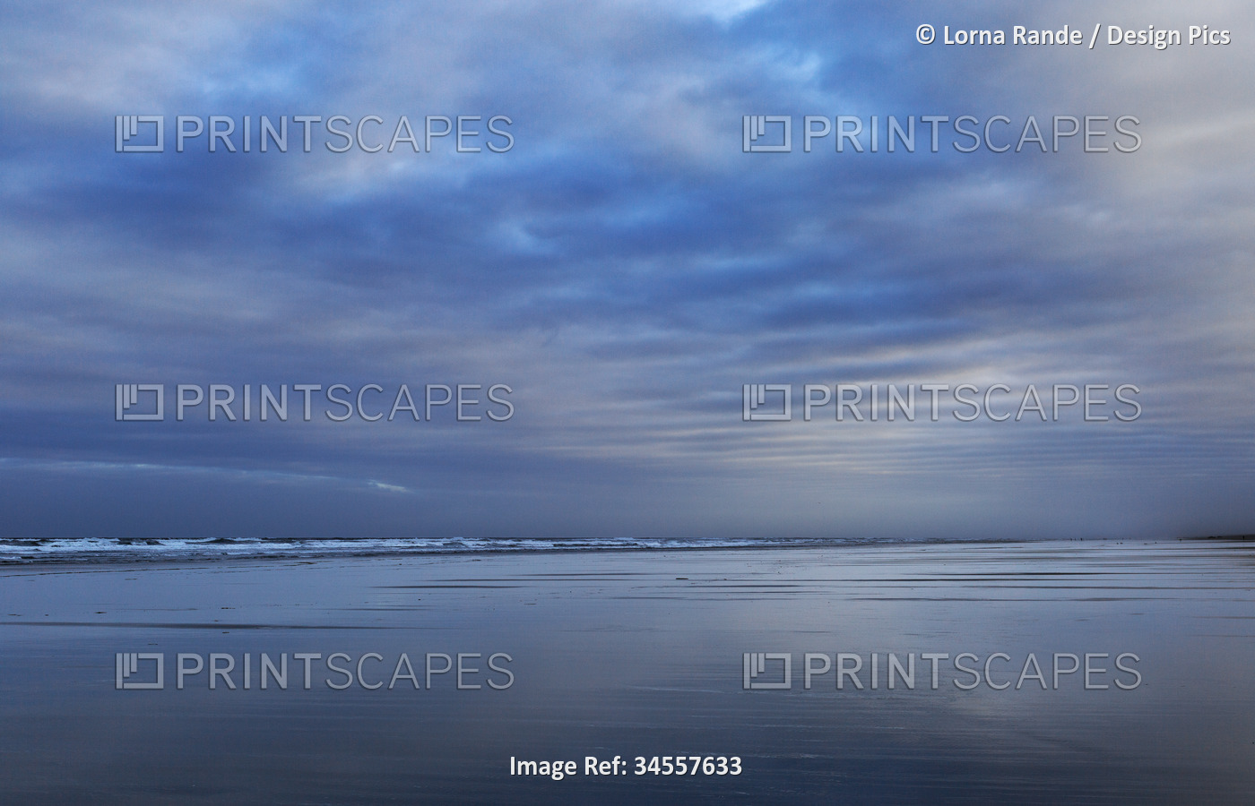 Scenic view of the shoreline and Pacific Ocean at blue hour of twilight; Long ...